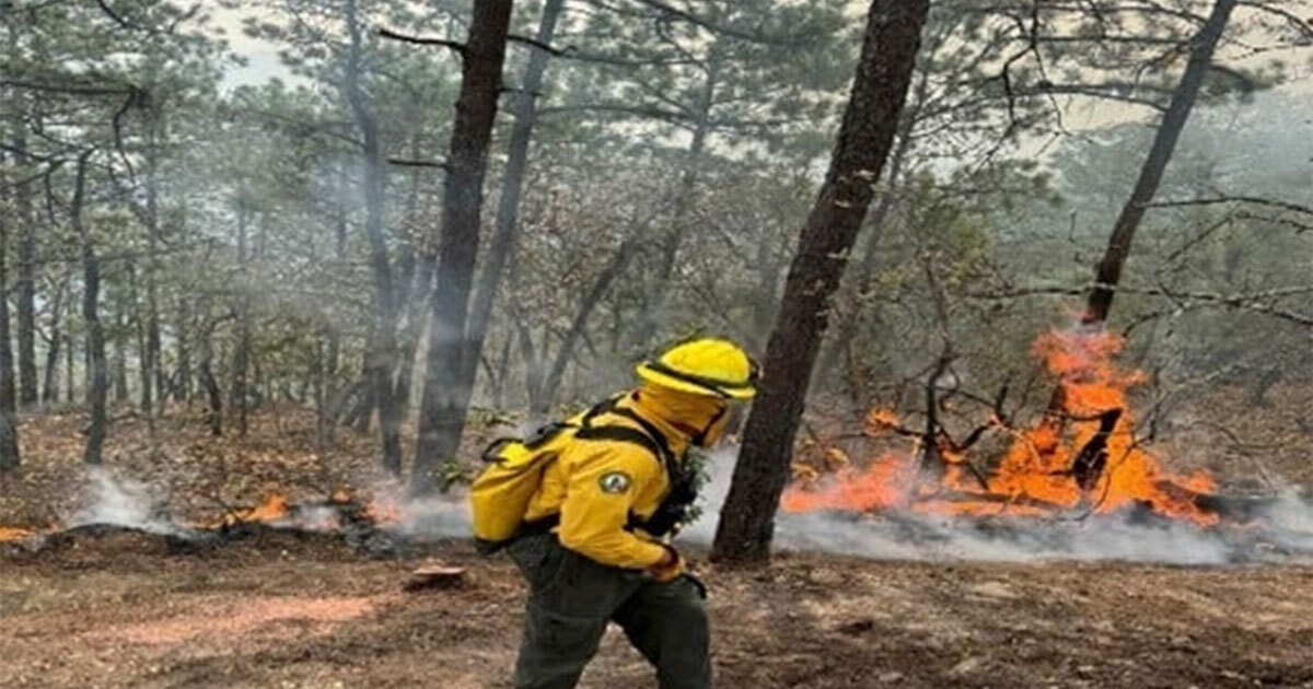 Agua, linternas o machetes: así puedes apoyar a Bomberos combaten incendio en San Luis de la Paz