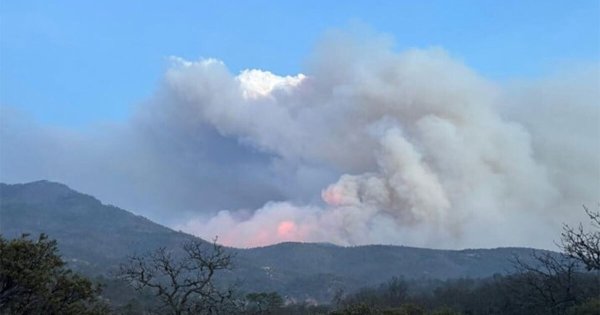 Incendio en sierra de San Luis de la Paz consume casi 500 hectáreas