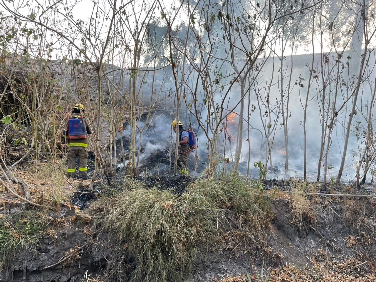 Apoyan Bomberos de León para contener incendio en comunidad La Virgen en San Felipe