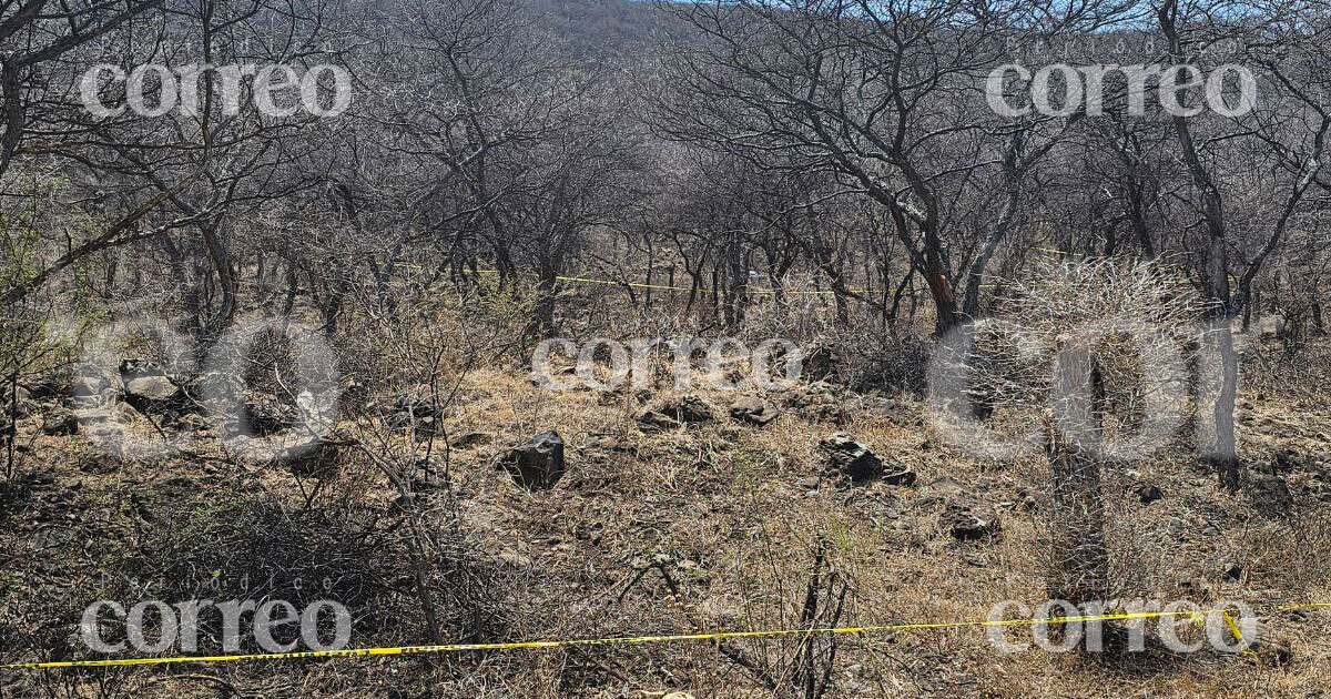 Descubren un cuerpo en la comunidad El Avispero de Pénjamo 