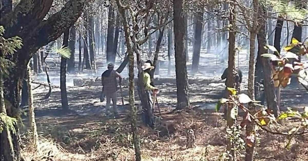 A una semana de lucha, controlan incendio de la Sierra Gorda en San Luis de la Paz