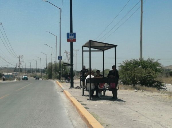 ¿Tardas mucho para llegar a Brisas del Campestre? Alistan más camiones para esta zona de León