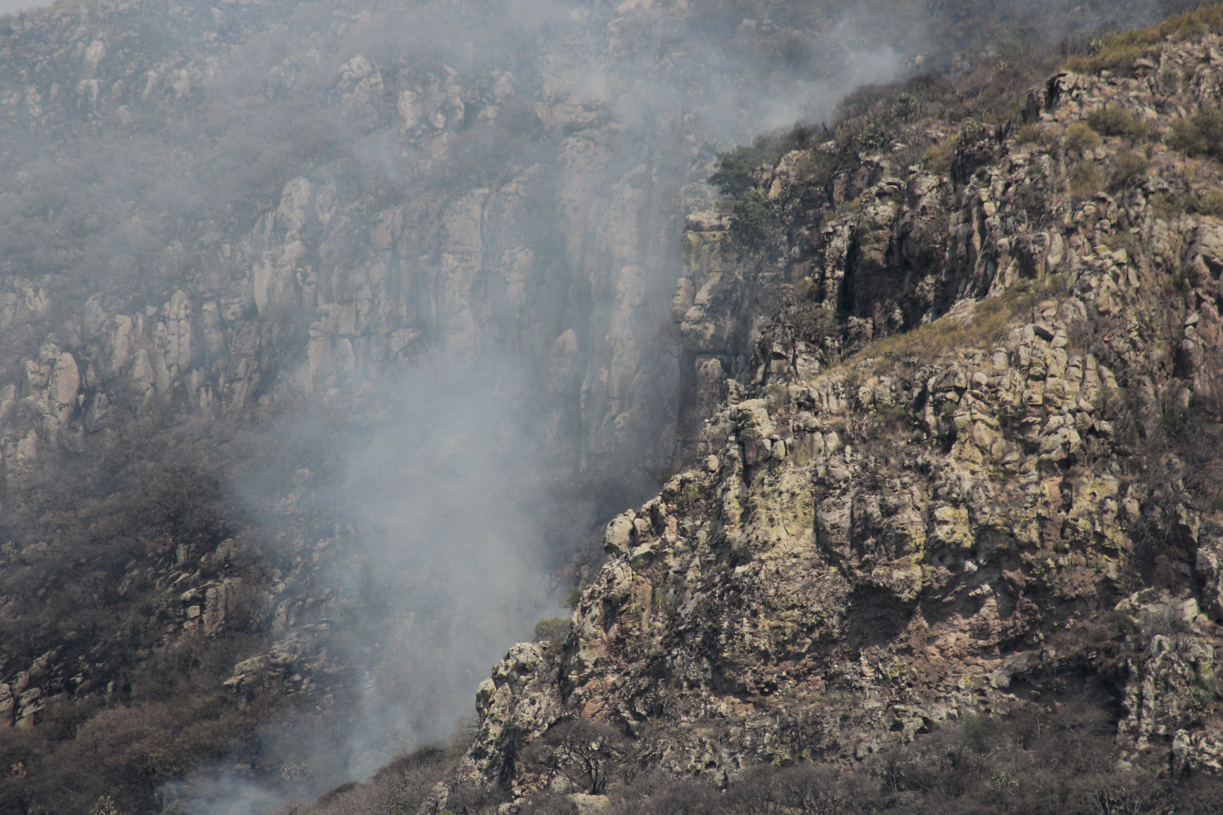 Incendio consume al Cerro Pelón de Celaya, ¿fue provocado? Esto dicen las autoridades 