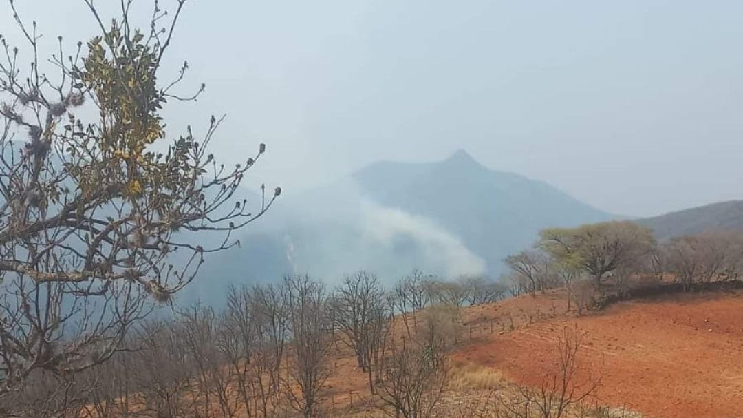 Incendio forestal en límites de Guanajuato con San Luis Potosí y Querétaro amenaza Sierra Gorda