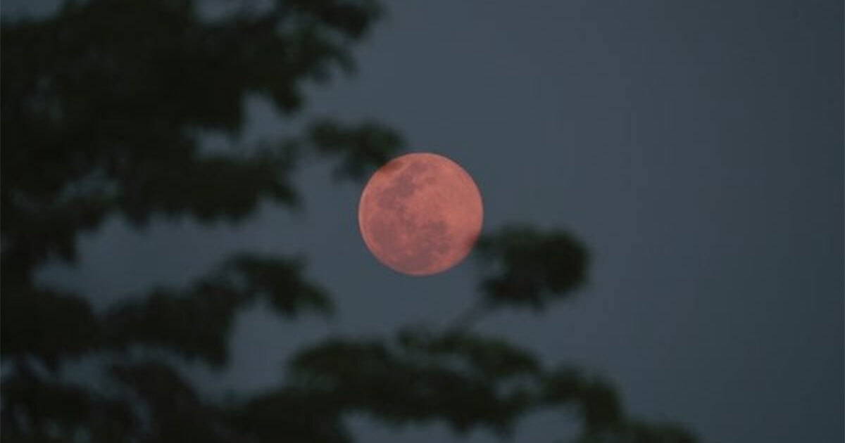 ¿Por qué hay luna roja en León? Te contamos qué causa este fenómeno 