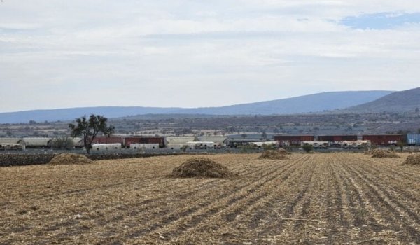 Viborillas de Suárez, entre cementerios de trenes y zona de asesinados en Pénjamo 