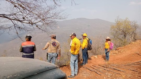 Incendio en Sierra Gorda no ha llegado a Guanajuato; luchan por detenerlo