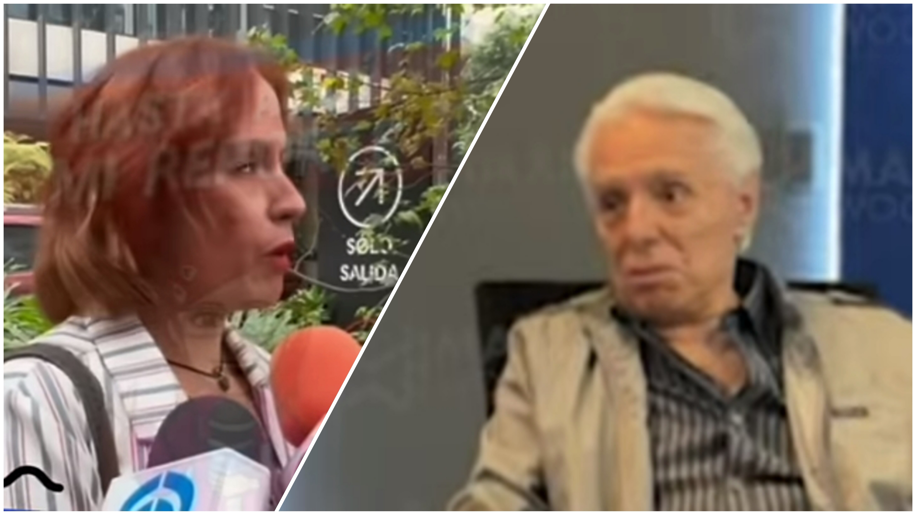 Mayela Laguna defiende a Apolo de los comentarios de Enrique y Alejandra Guzmán