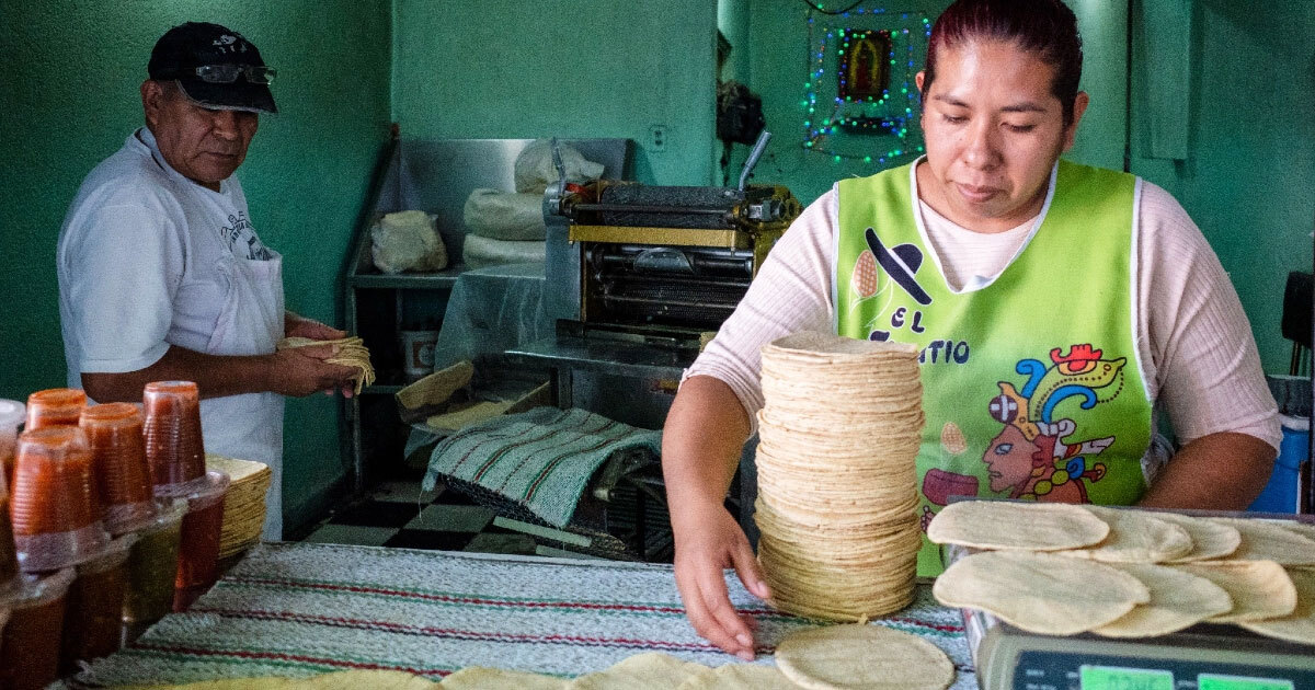 ¿Subirá el precio de la tortilla en Guanajuato debido a la sequía?