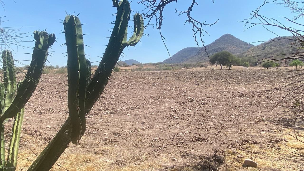 “Sin agua no vivimos”, clama Fernando Cordero, campesino de Salamanca, ante falta de lluvias