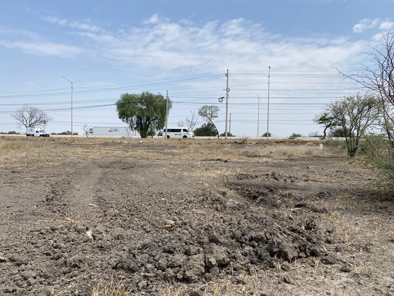 Acaban con árboles protegidos en carretera Silao-Guanajuato sin autorización 