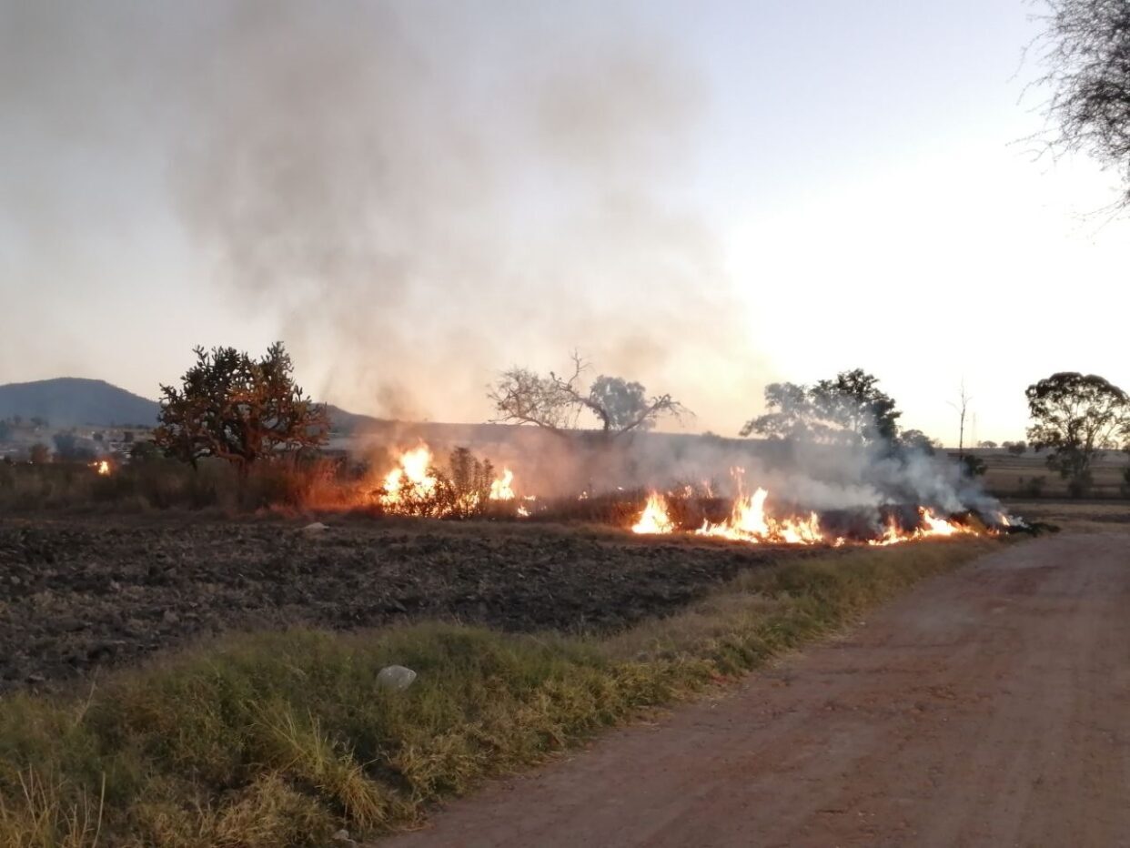 Persisten incendios de pastizales en Acámbaro