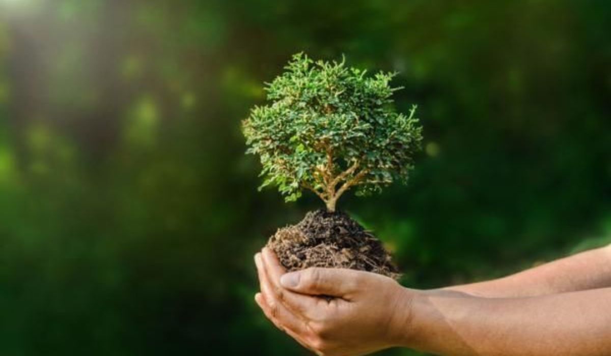 ¿Cómo registrarse para ser guardia ambiental en Guanajuato?