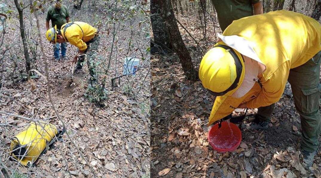 Bomberos de Guanajuato buscan evitar daños por incendios forestales, ¿cómo lo harán?