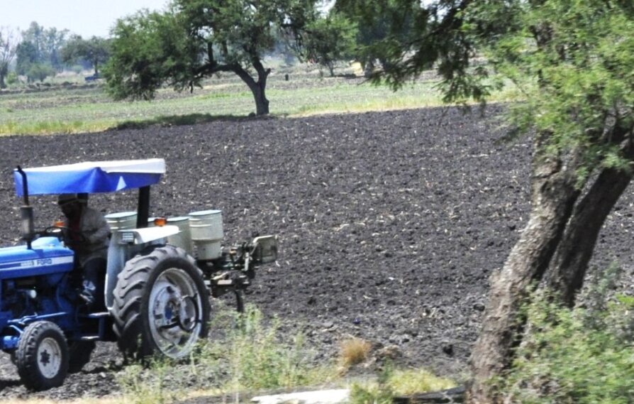 Sin agua ni apoyo, campesinos y ganaderos renuncian en Guanajuato 