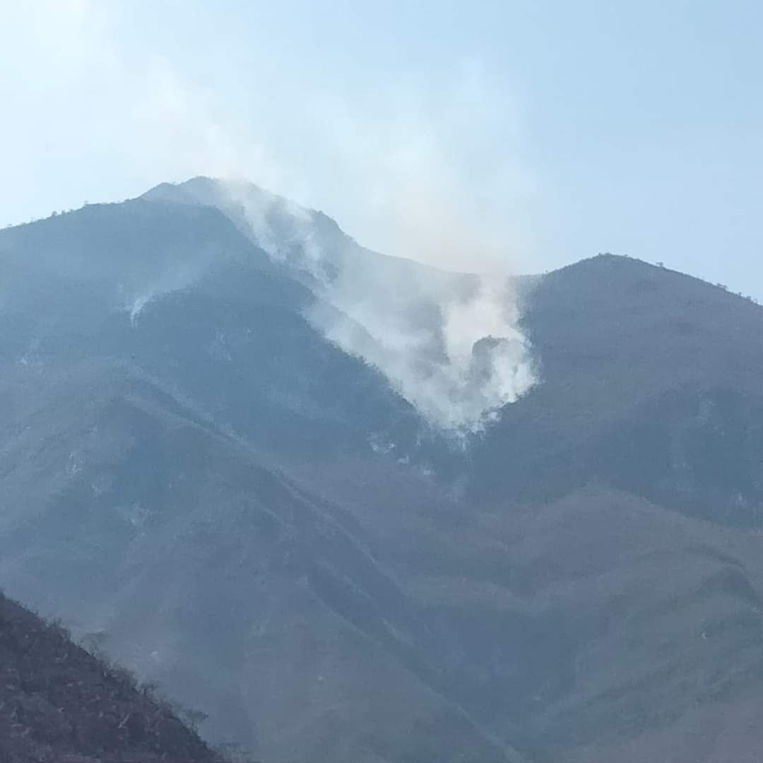 Incendio en el Cerro del Tibal se ha salido de control