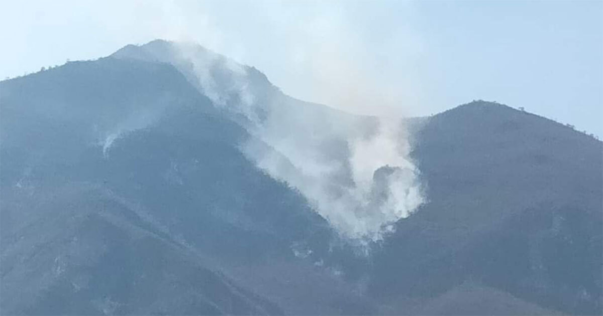 Incendio en el Centro Ecoturístico El Platanal de Xichú consume más de 32 hectáreas 