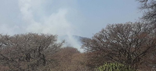 Logran brigadistas controlar al total el incendio en Cerro del Ancho de Acámbaro