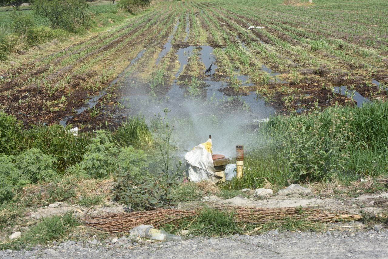 Denuncian robos en pozos agrícolas de Salamanca; CNC critica falta de vigilancia y apoyo