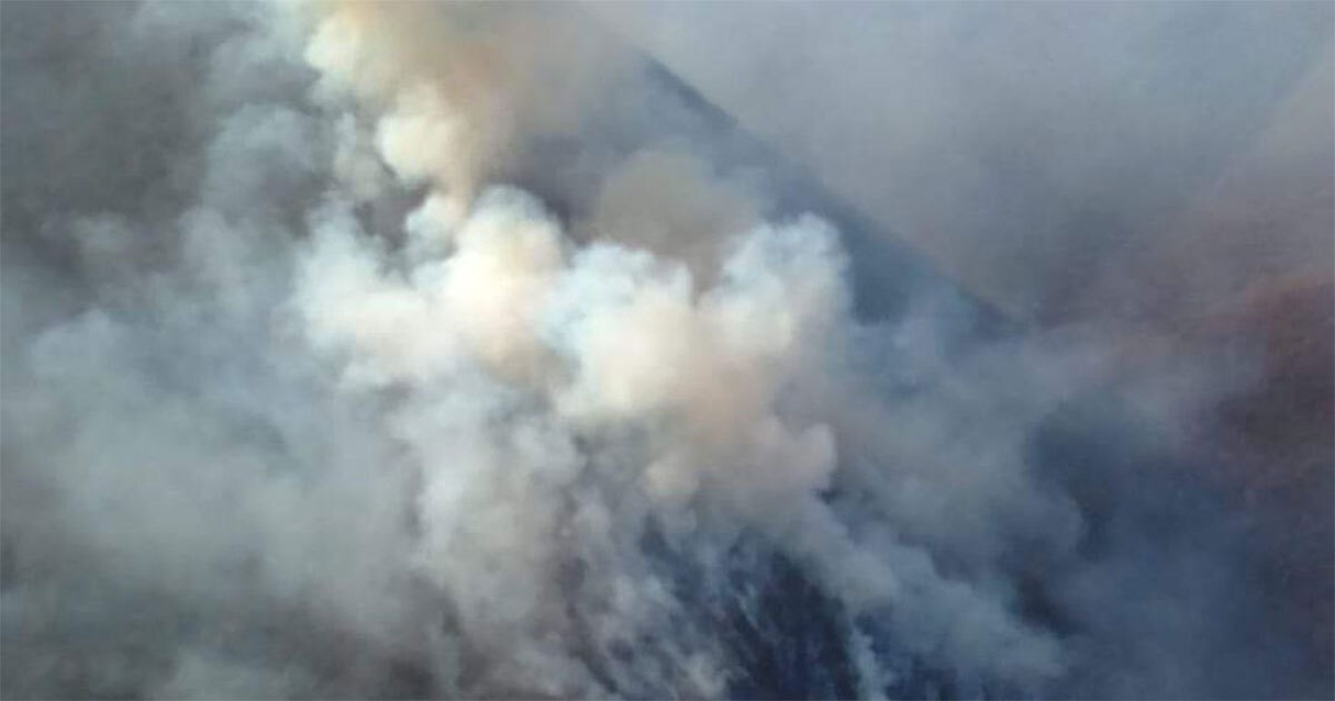 Brigadas y dron combaten incendio forestal en Xichú; más de la mitad ha sido controlado 