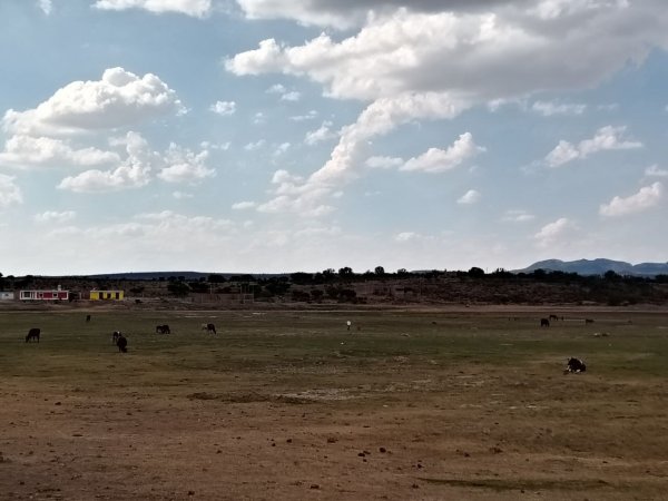 Impulsan amas de casa desarrollo de la agricultura en Ocampo 