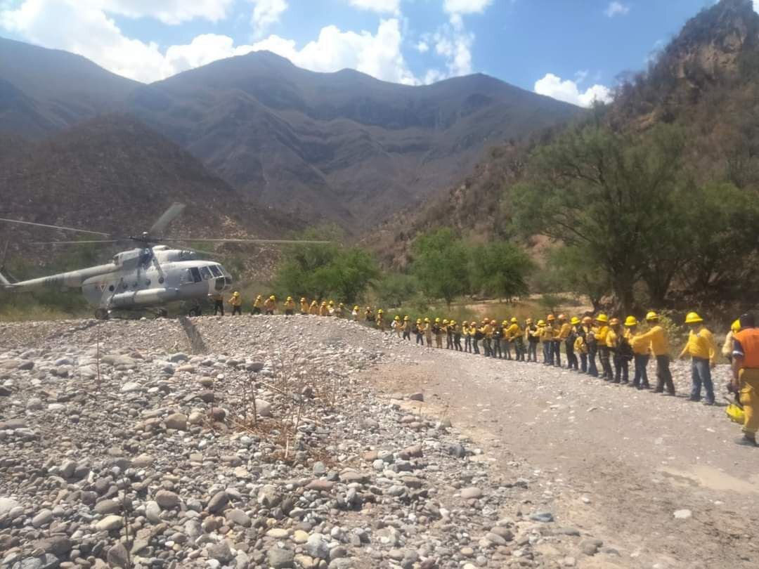 En Xichú continuan las labores de control en la zona de El Platanal y El Timbal 