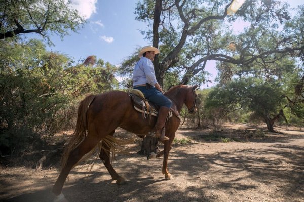 El gobernador Diego Sinhue se rompió dos costillas después de caer de un caballo ¿cuál es su estado de salud? 