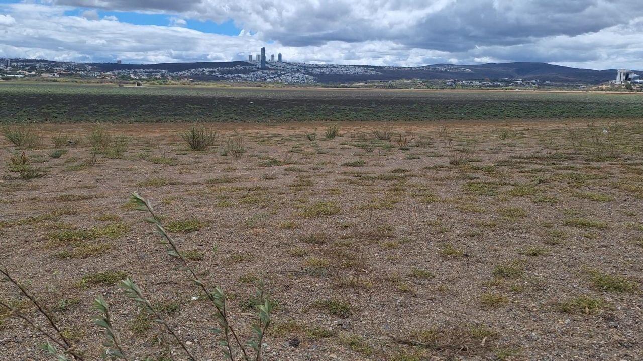 ¿Y el agua? Tormenta Alberto llena unas presas y deja otras vacías en Guanajuato