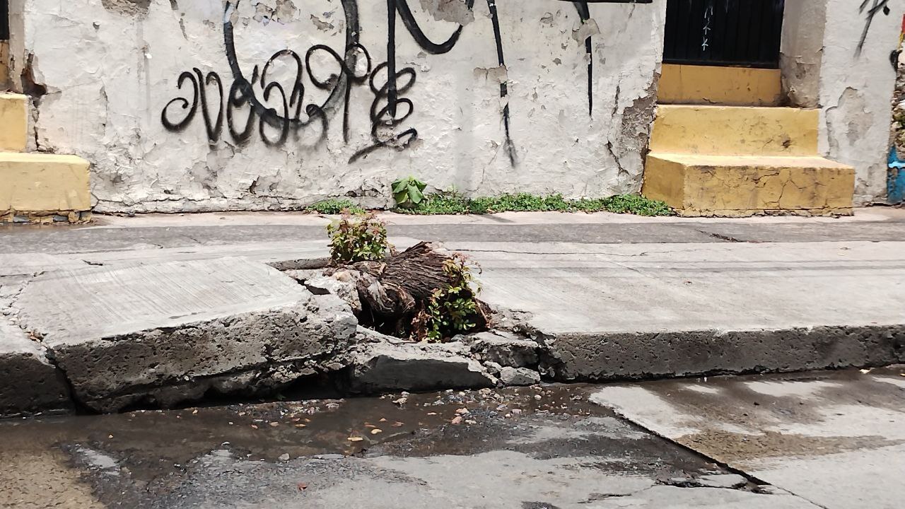 Niño de 10 años en Irapuato es primer menor de Guanajuato con dengue en 2024