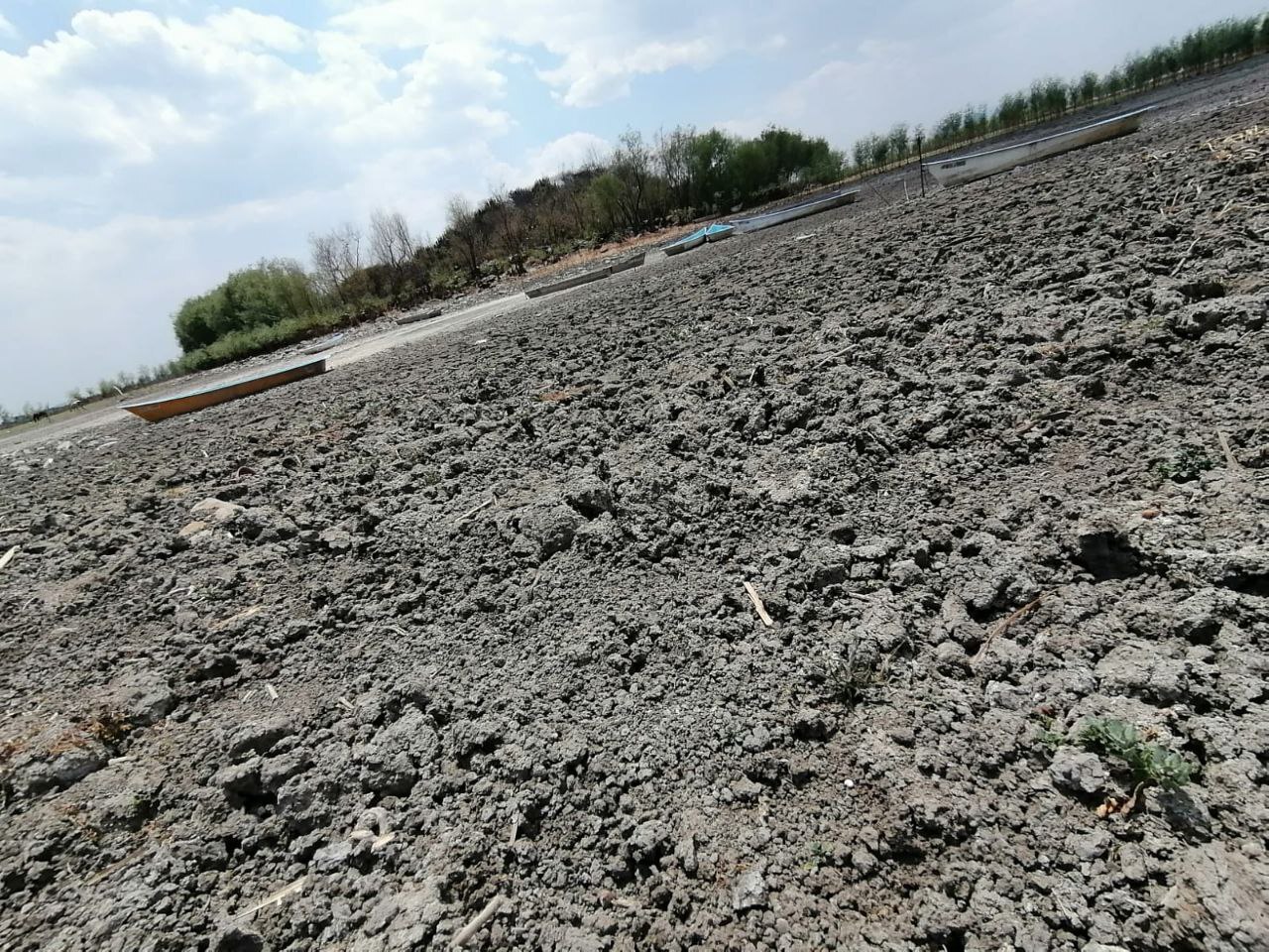 Pescadores de La Ortiga en Acámbaro sufren por la disminución del agua en el lago de Cuitzeo