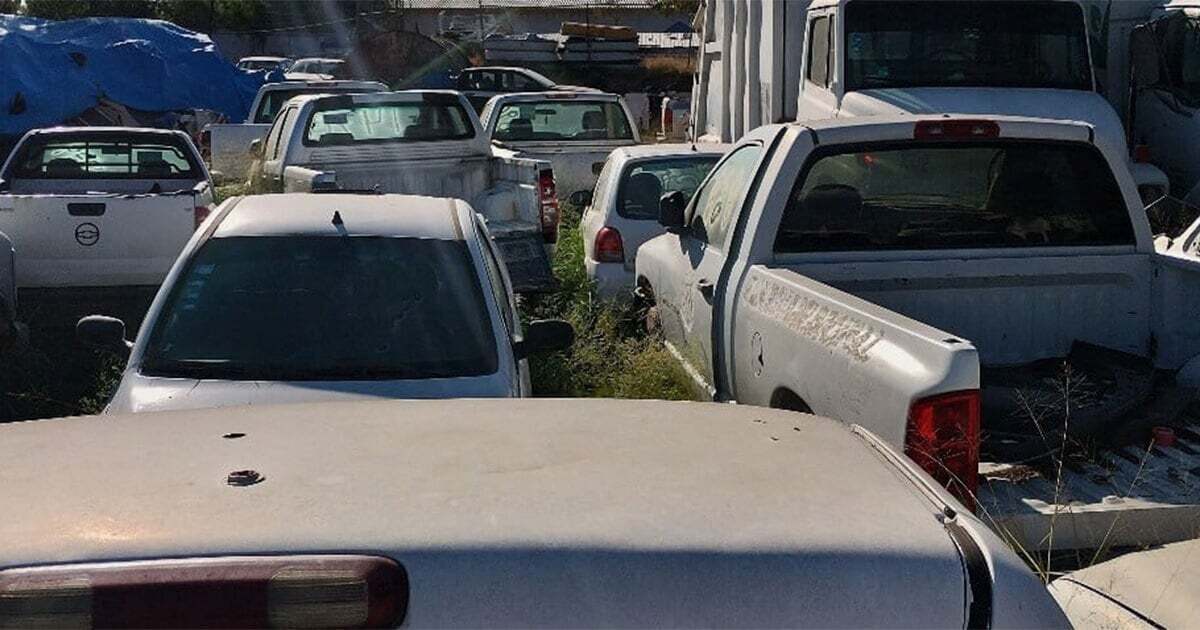 En León decomisan al menos 10 autos abandonados diariamente, ¿a dónde los llevan? 