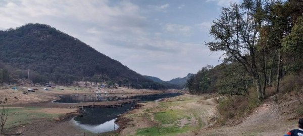 Ambientalistas denuncian tala de árboles en el cerro del Veinte de Irapuato