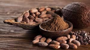 ¿Qué se celebra hoy domingo 7 de julio 2024 en México y el mundo? Día Mundial del Cacao