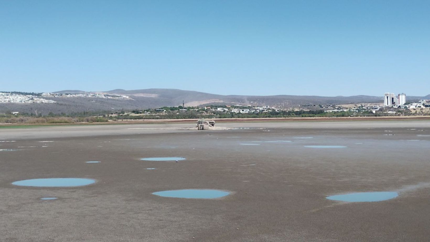 ¿Cuáles fueron los daños a animales y árboles tras sequía en la Presa del Palote en León?