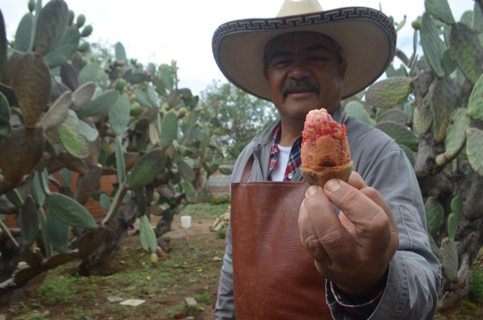 Con recetas familiares, Don Jesús Frausto crea negocio de productos del campo en Dolores Hidalgo 