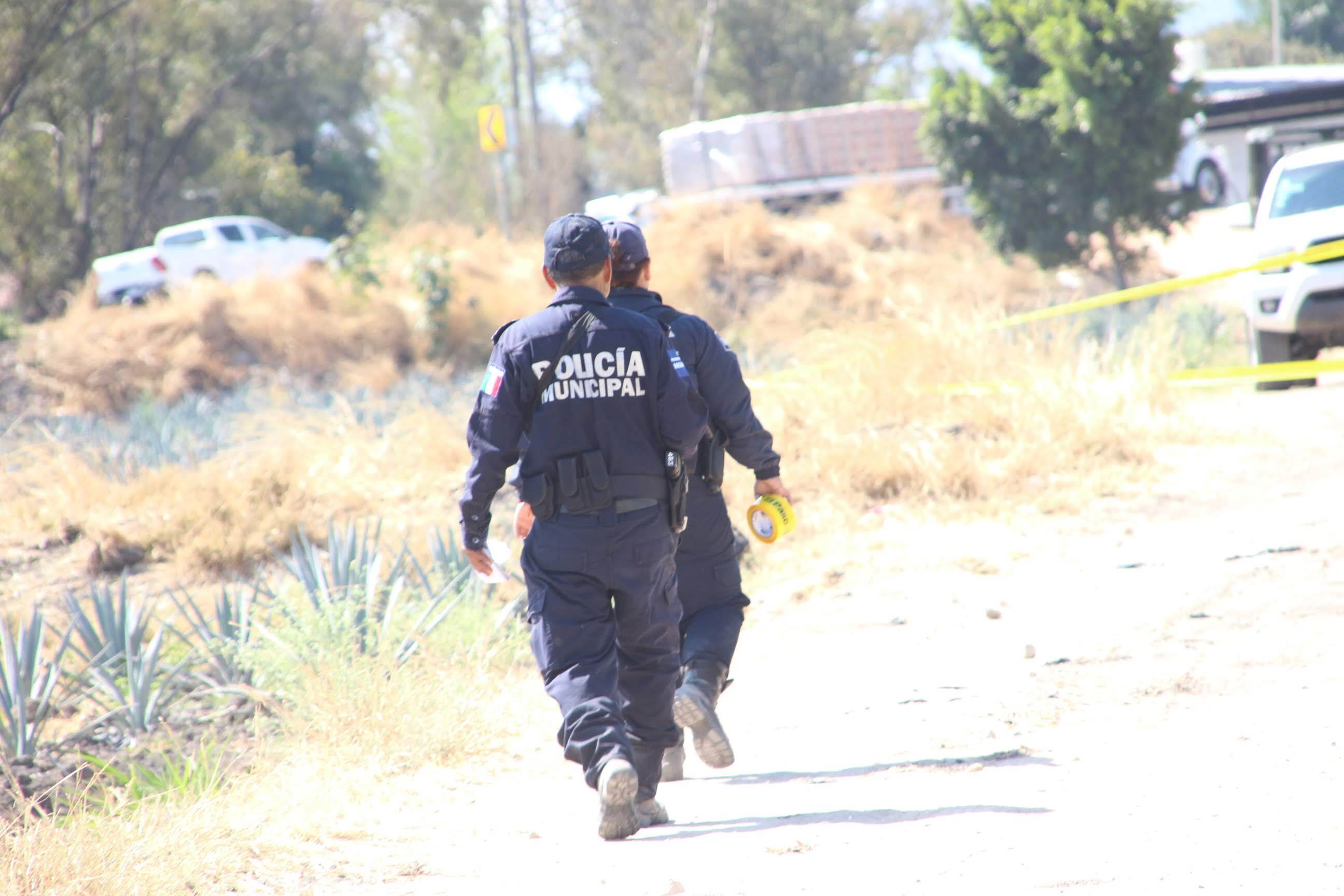 ¿Qué delitos aumentaron durante el último año en Abasolo? Esto dice el Observatorio Ciudadano