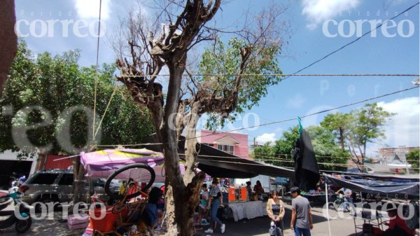 Accidente en el tianguis de la Avenida Guanajuato en Irapuato deja a un menor y una mujer heridos 