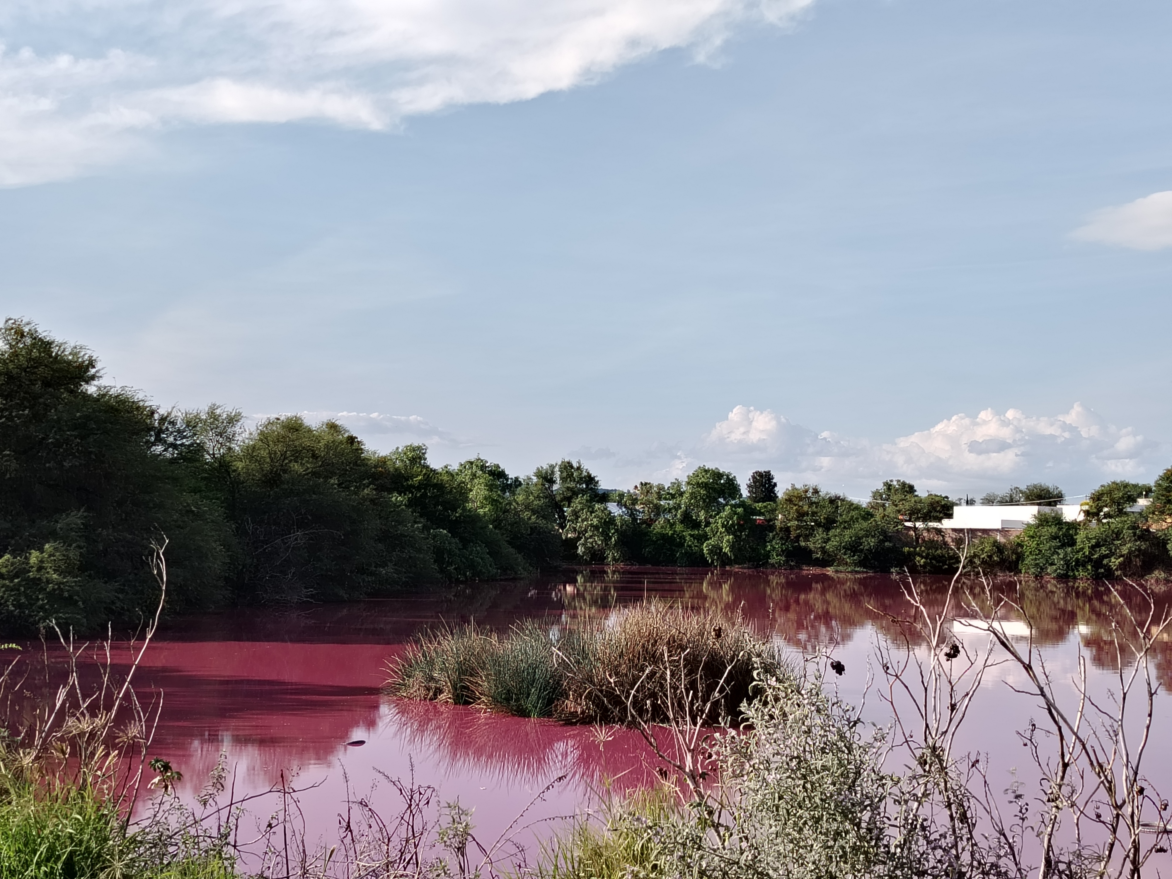 Investigan origen de agua rosa en Puerta de San Germán entre San Pancho y León