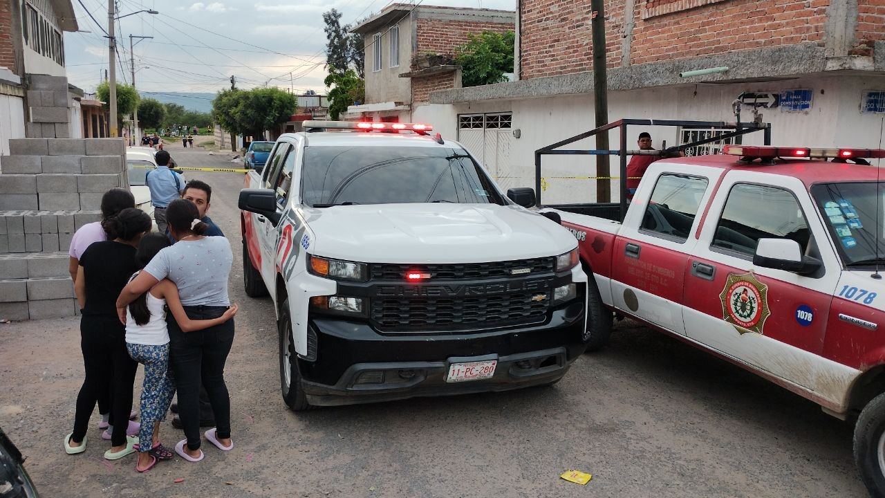 Tragedia por abejas en Irapuato: Hombre fallece tras ataque