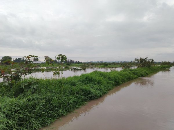 Canal de Arroyo Feo en Salamanca se desborda e inunda calles y campos 