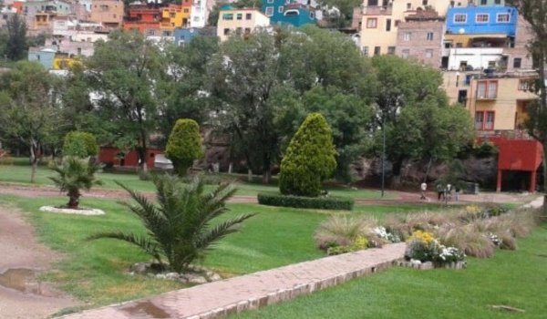 Pastitos de Guanajuato reviven tras lluvias y el verde regresa con fuerza