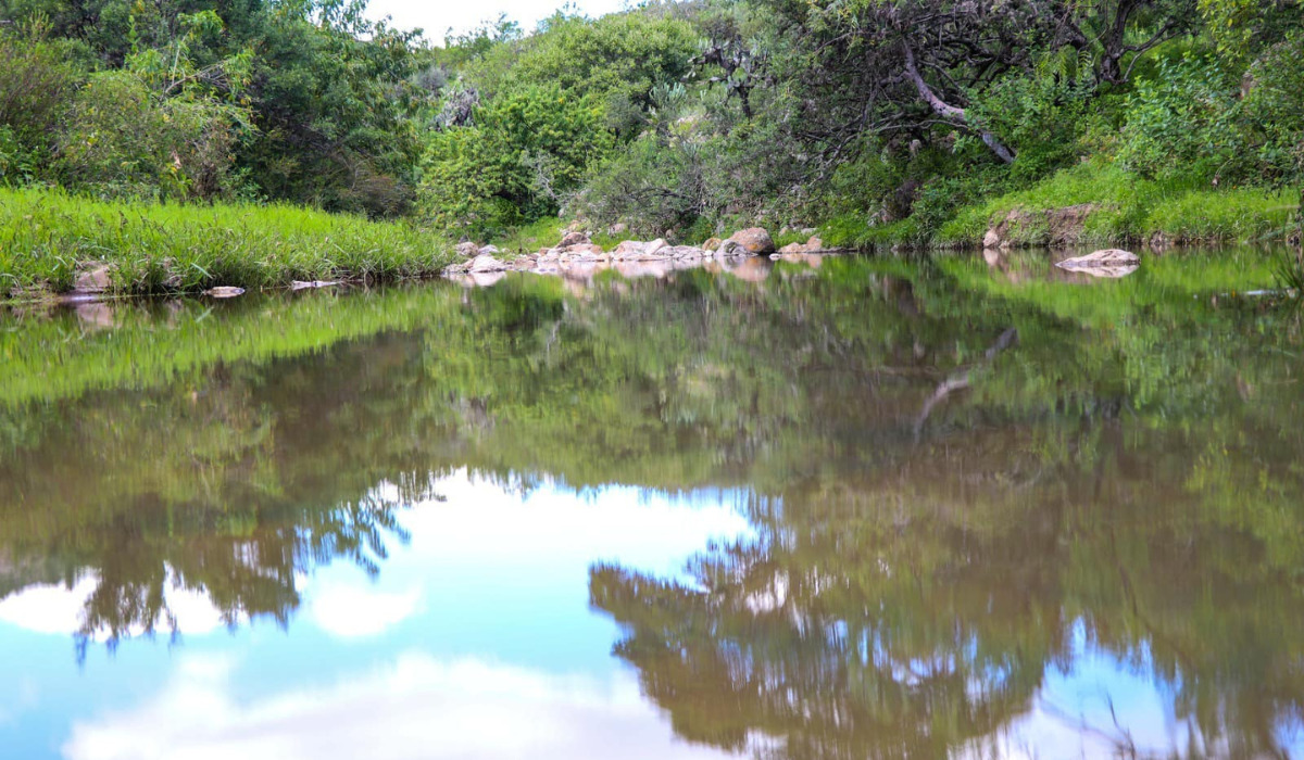 Irapuato amplía zonas de conservación para la recarga de mantos acuíferos