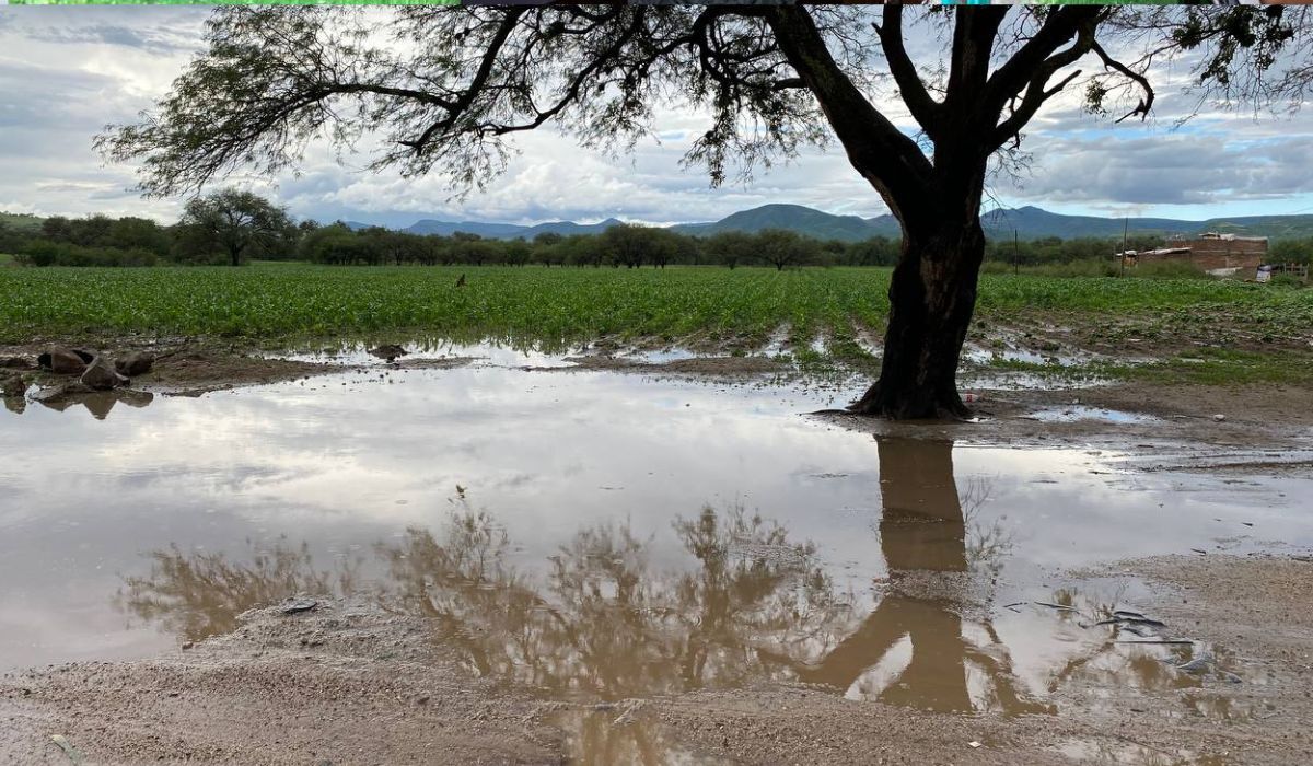 Inundación en Nápoles debido a fuertes lluvias en Silao