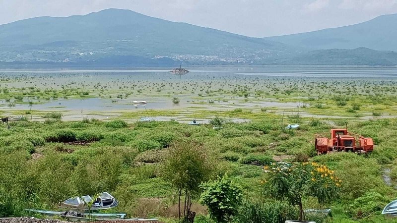 Así ha cambiado la Laguna de Yuriria por la contaminación; tesis doctoral revela el daño