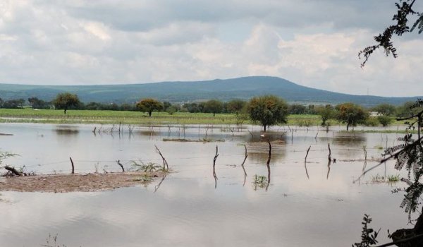 Fuertes lluvias dejan afectaciones en Guanajuato; varios municipios temen por inundaciones