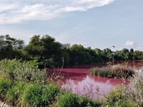 Se avientan ’la bolita' por bordo con aguas rosas ¿en qué va el caso?