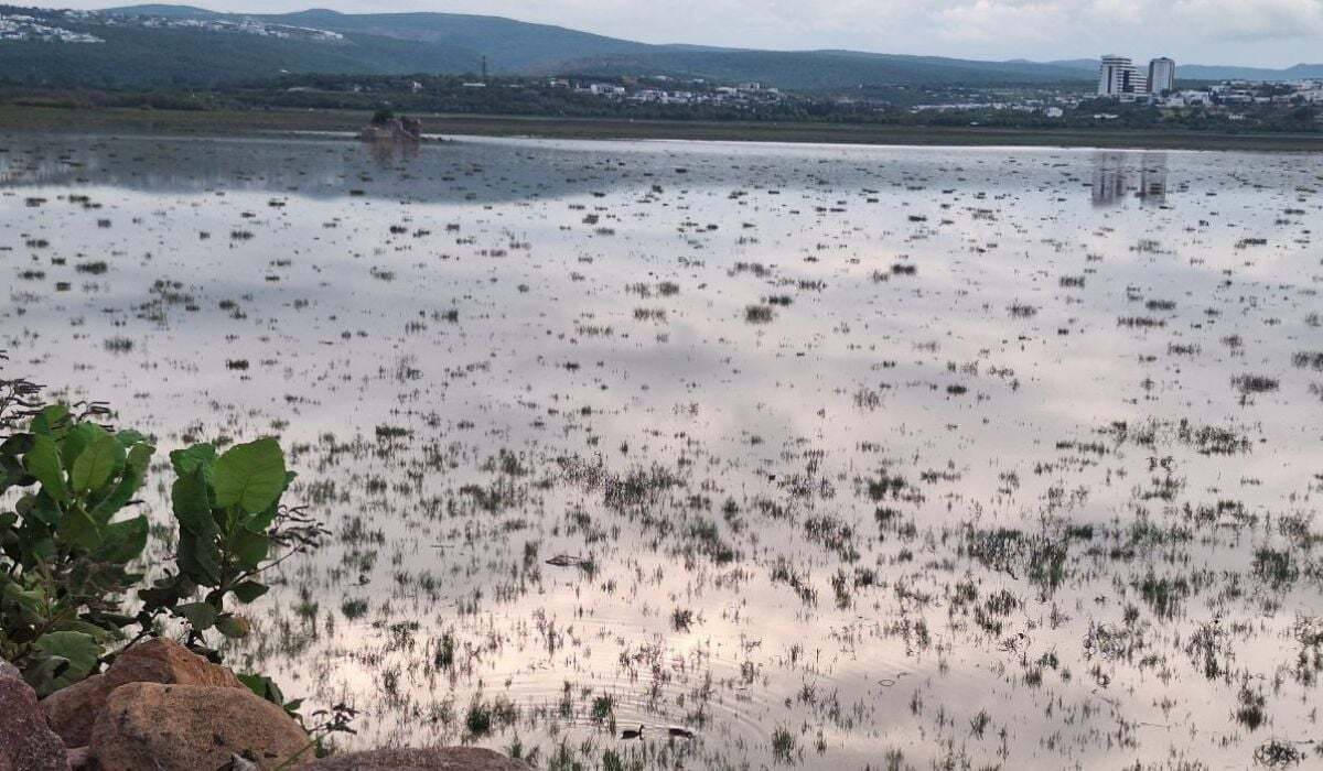 ¿Cómo va la presa del Palote en León? Este es su nivel gracias a las lluvias 