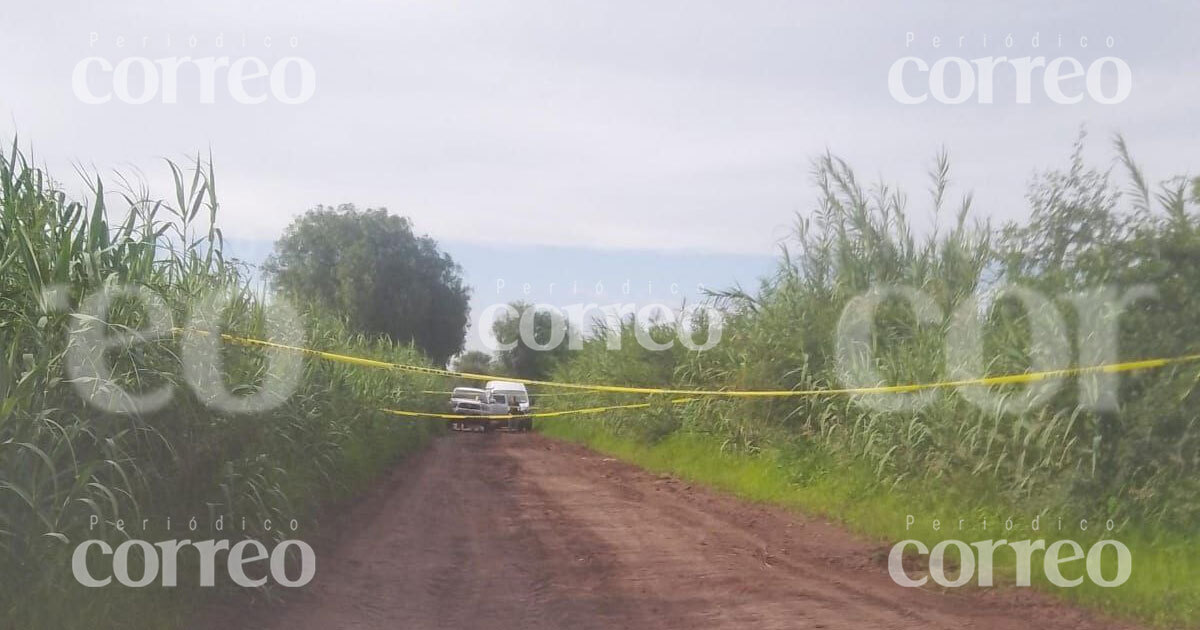 Descubren un cuerpo en un camino de terracería en Cortazar 