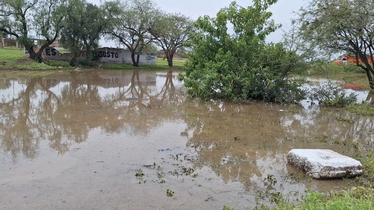 Inundaciones y árboles caídos: así fue el paso de las lluvias en estas zonas de León 