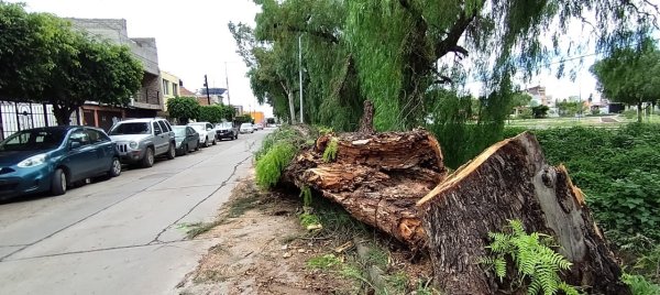 Vecinos denuncian foco de infección por mal estado del canal en Salvador Ortega de Celaya, ¿hay peligro? 